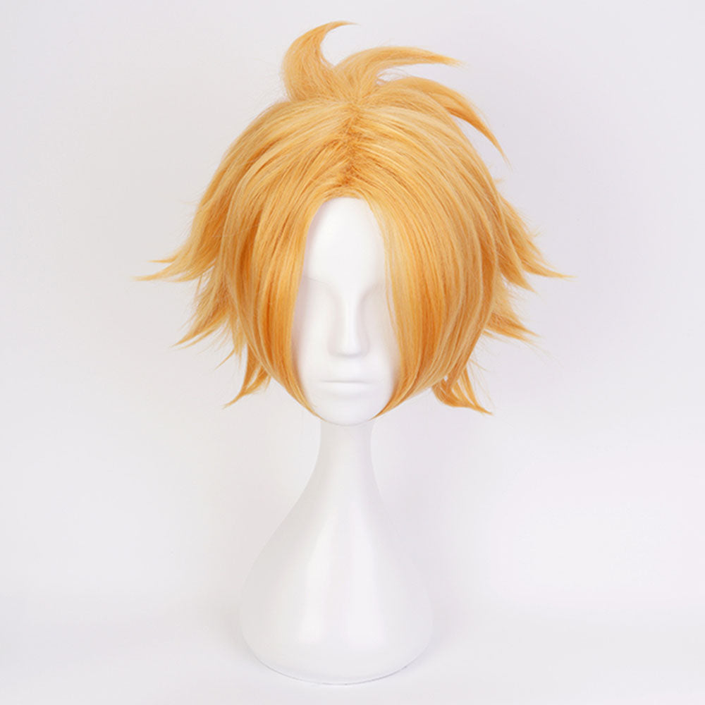 Anime My Hero Academia Kaminari Denki Cosplay Wig Heat Resistant Sythentic Hair