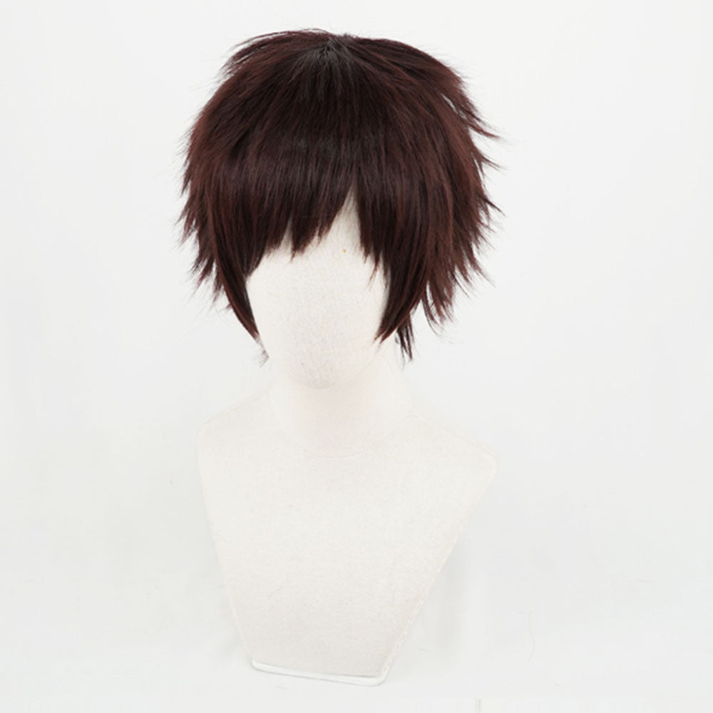 Anime My Hero Academia Overhaul Cosplay Wig Heat Resistant Sythentic Hair