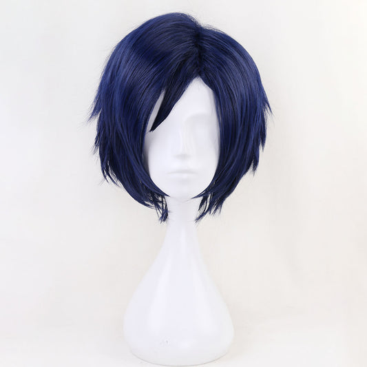 Anime My Hero Academia Iida Tenya Cosplay Wig Heat Resistant Sythentic Hair
